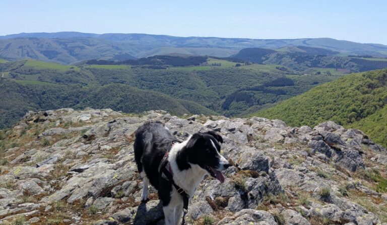 IMG-20260424-WA0001