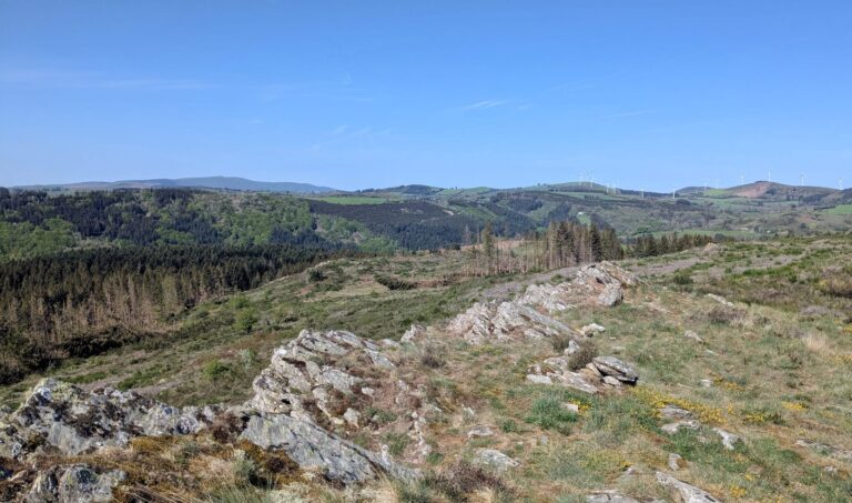 IMG-20260424-WA0011