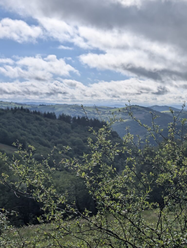 PXL_20260510_073507605