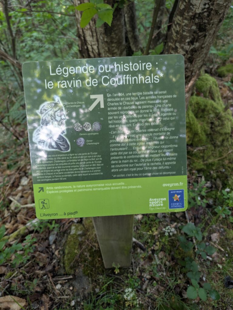 PXL_20260510_082633442