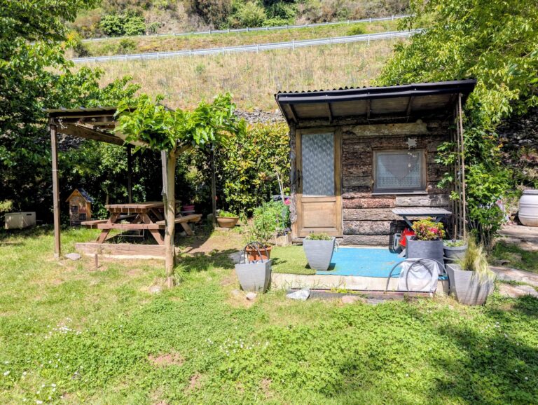 PXL_20260510_102416107~2