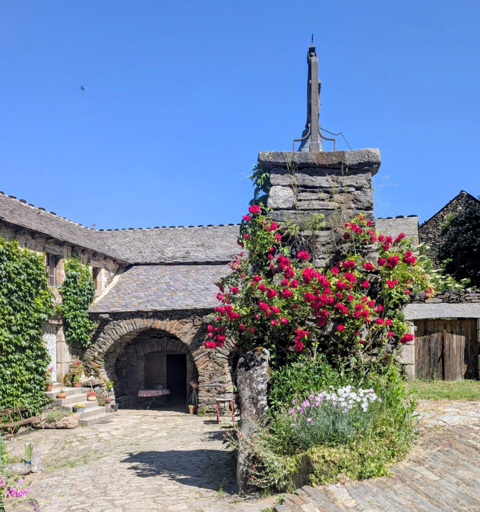 PXL_20260617_091340582~2