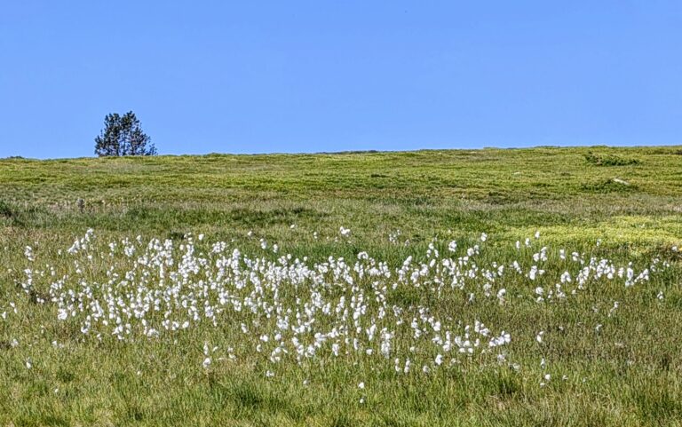 PXL_20260618_075820019~3