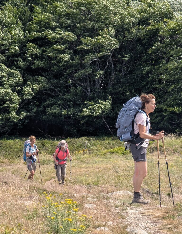 PXL_20260619_083927525~2