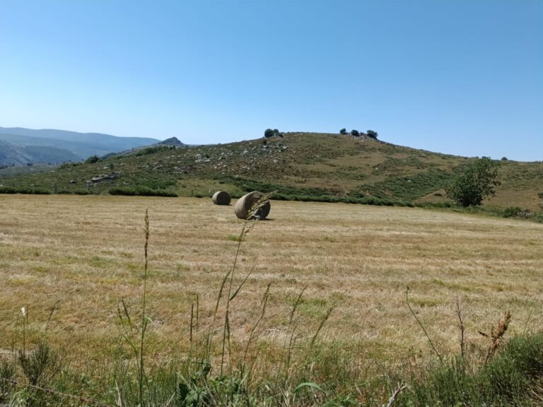 balles_foin