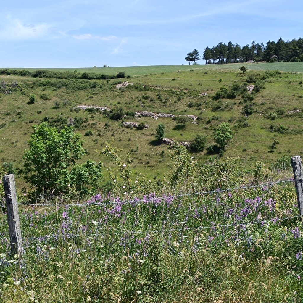 cailloux