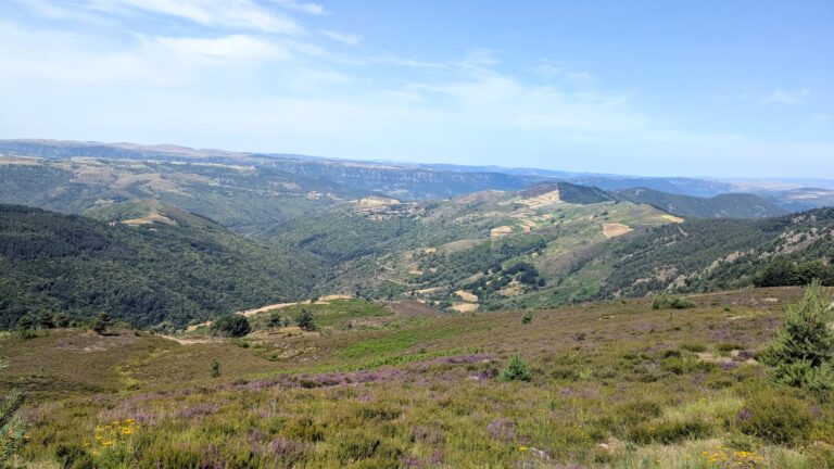 causse_mejan_2