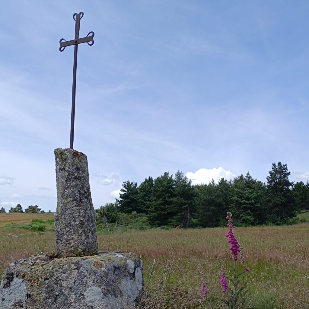 croix_de_faux
