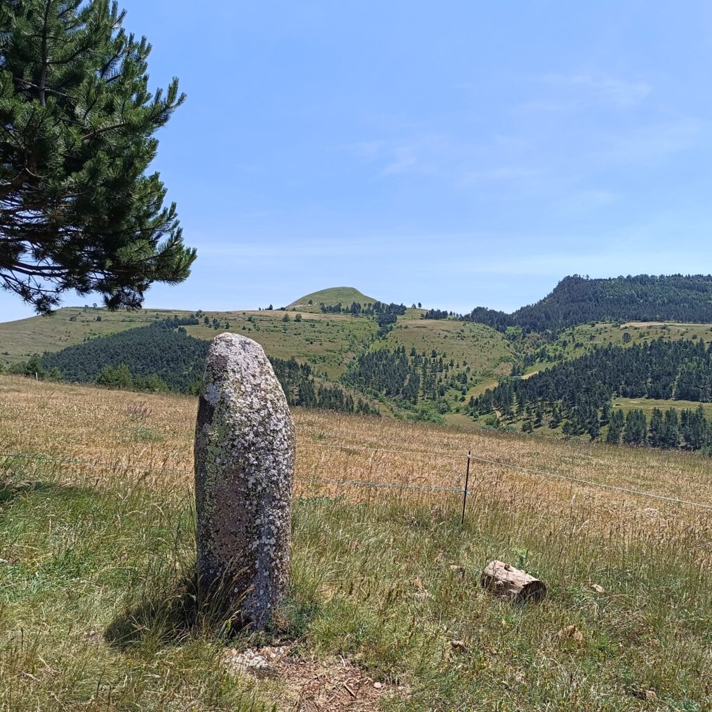 menhir_6