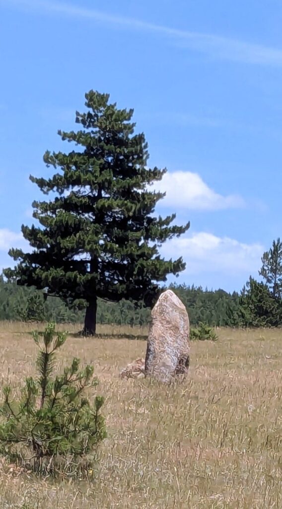 menhirs_2