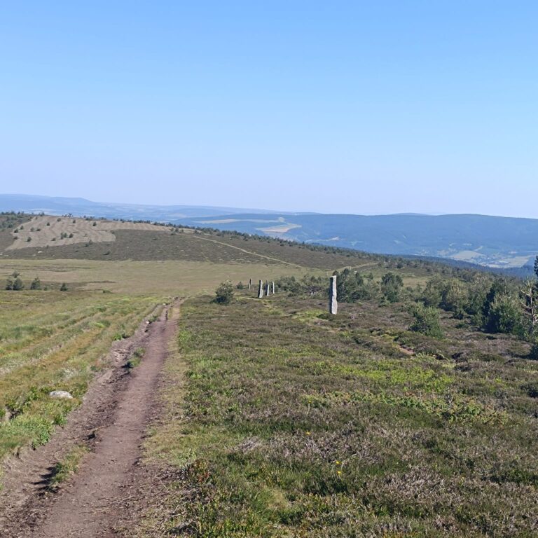 montjoie
