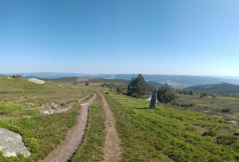 montjoie_2