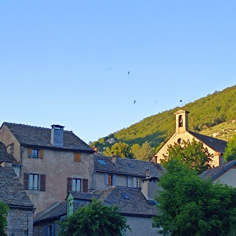 montvert