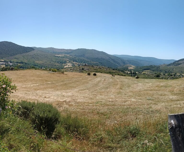 paysage_11
