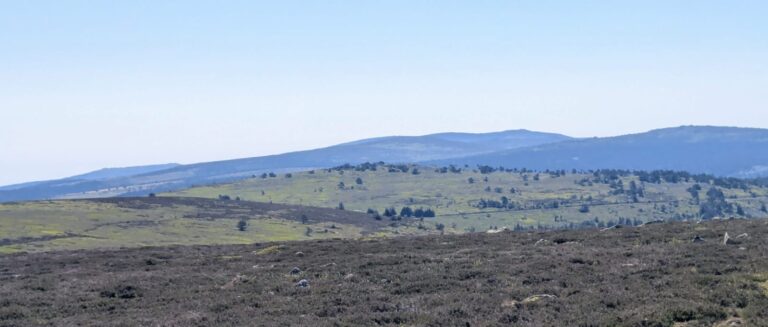 paysage_4