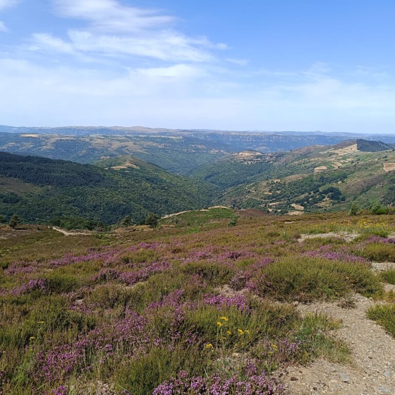 paysage_5