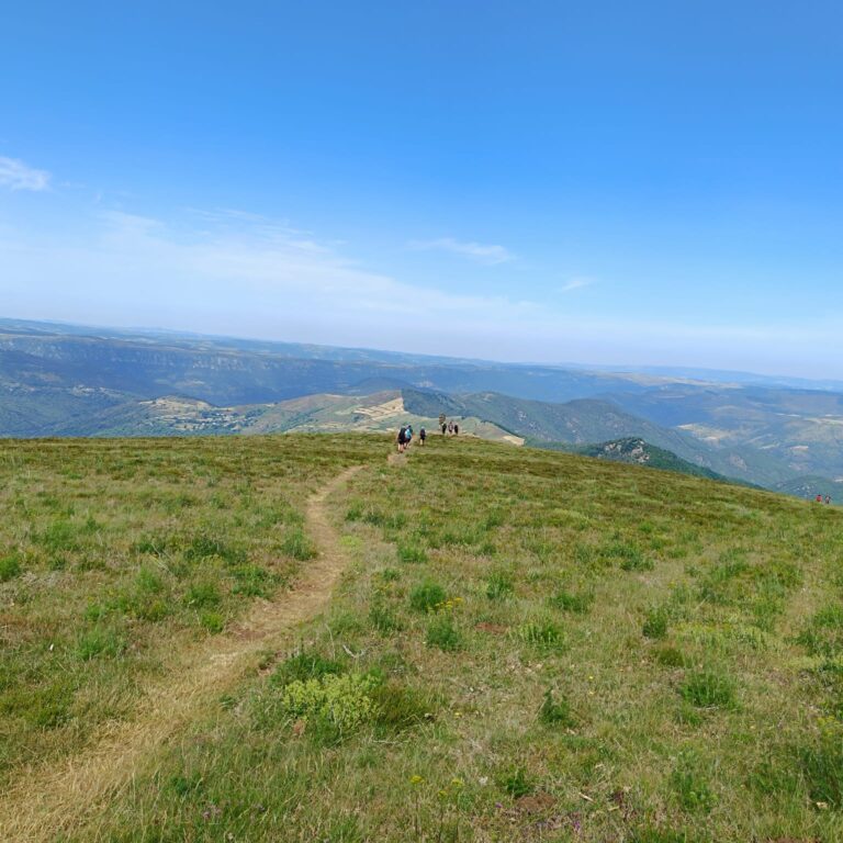 paysage_6