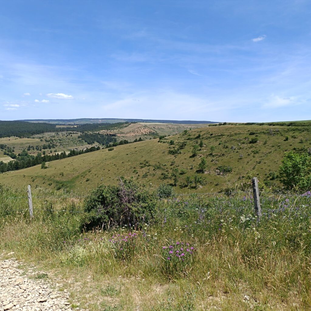 paysages