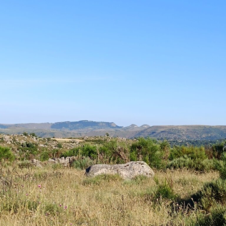 paysages_1