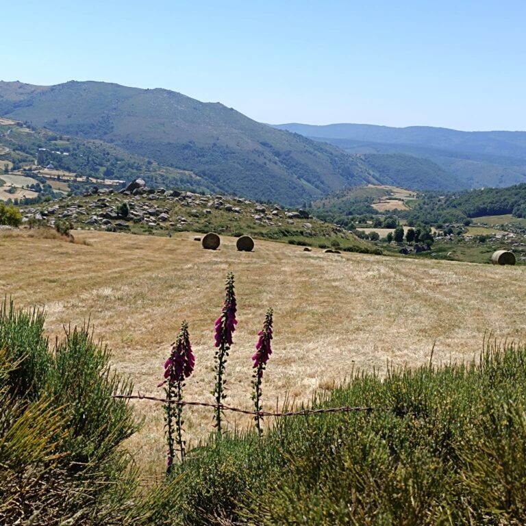 paysages_10