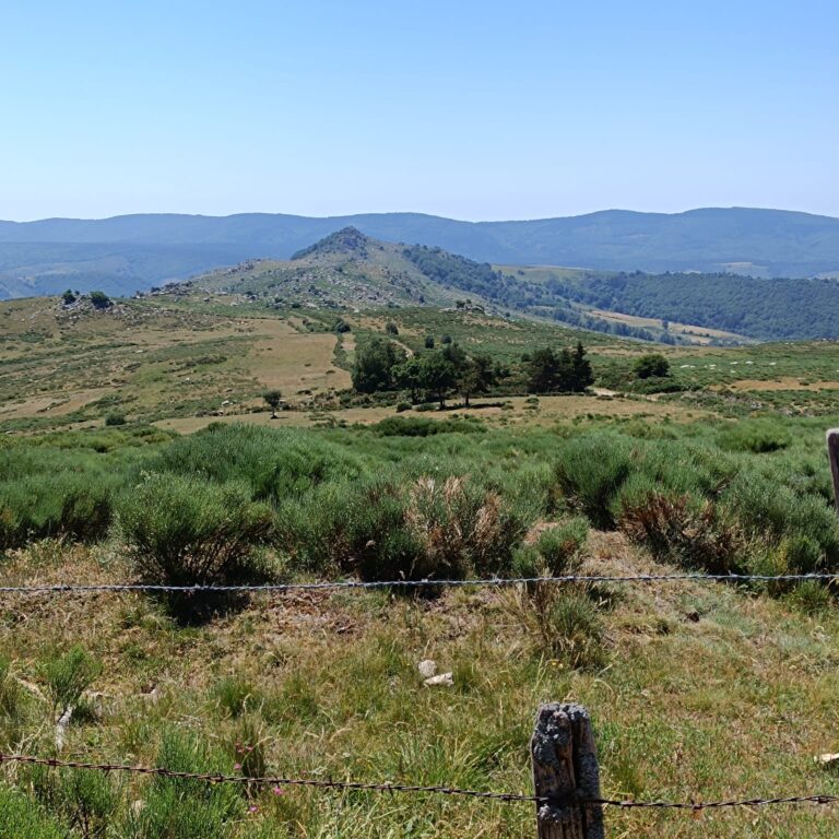 paysages_12
