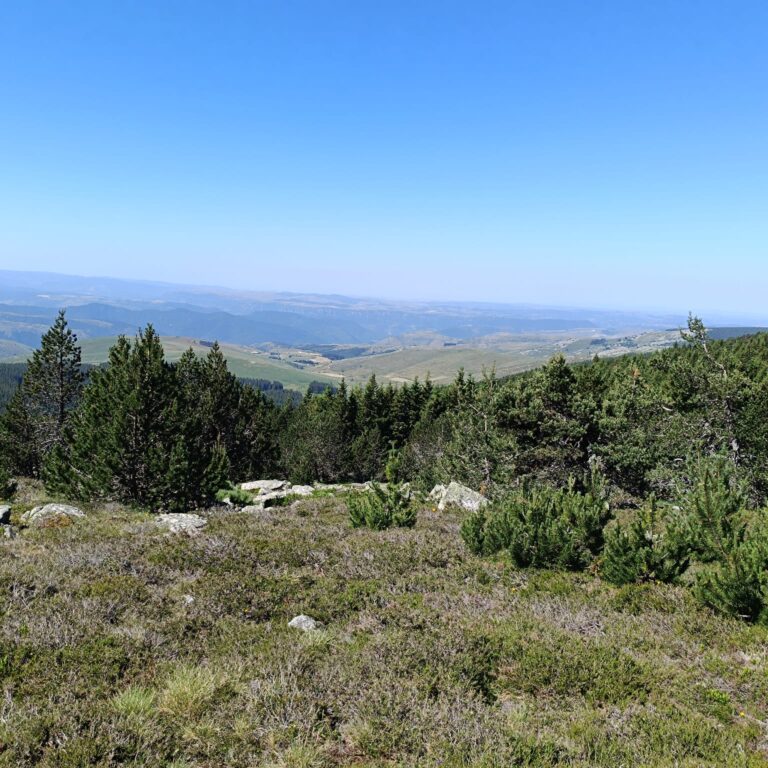 paysages_13
